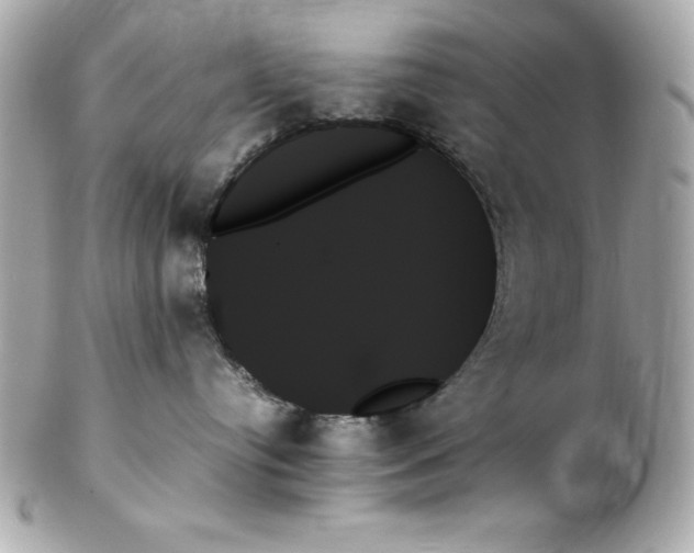 X0000102260384200808151846