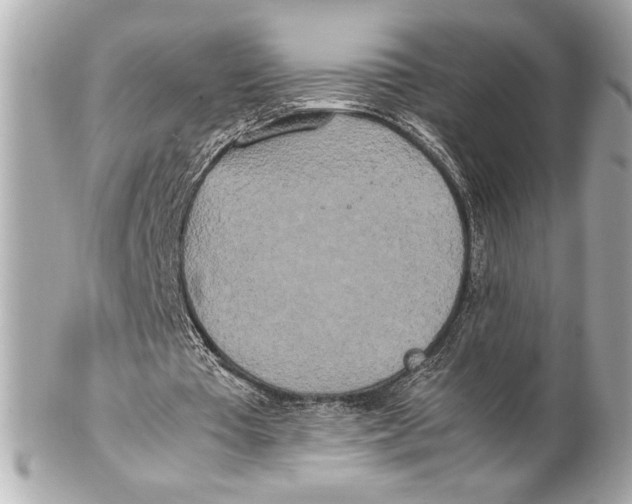 X0000102260385200808151845