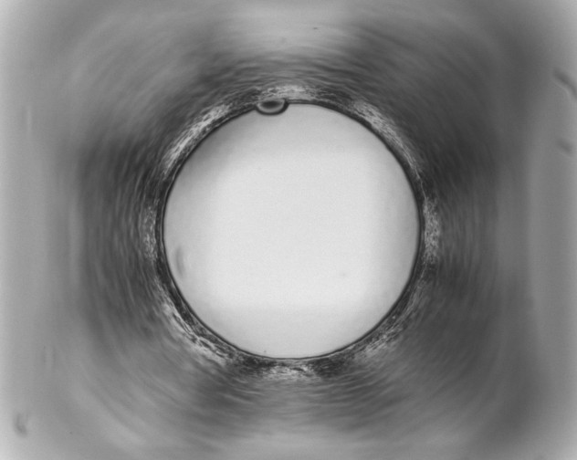 X0000102260386200808151845