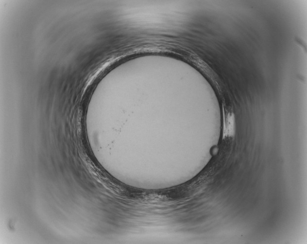 X0000102260387200808151845