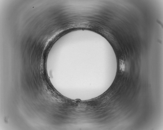 X0000102260388200808151845