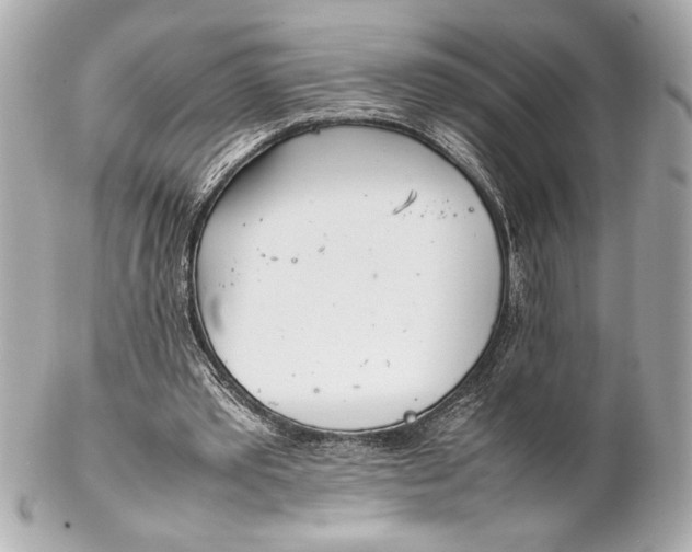 X0000102260389200808151845