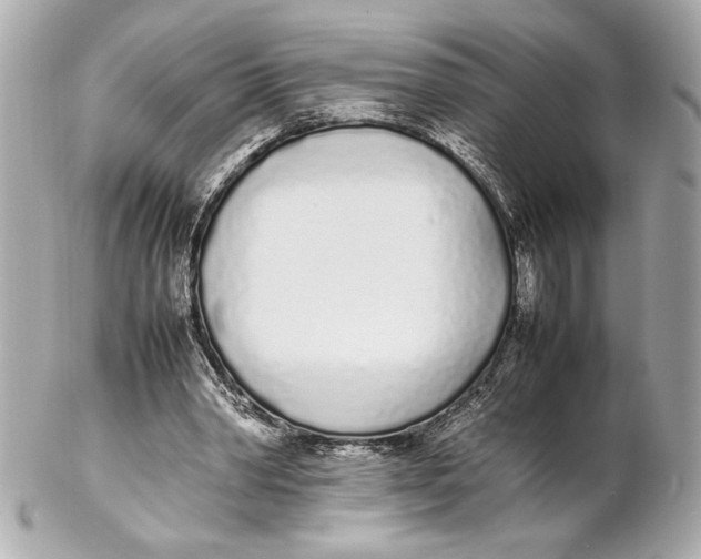 X0000102260390200808151845