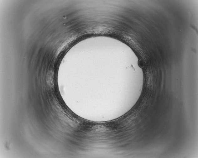 X0000102260392200808151845