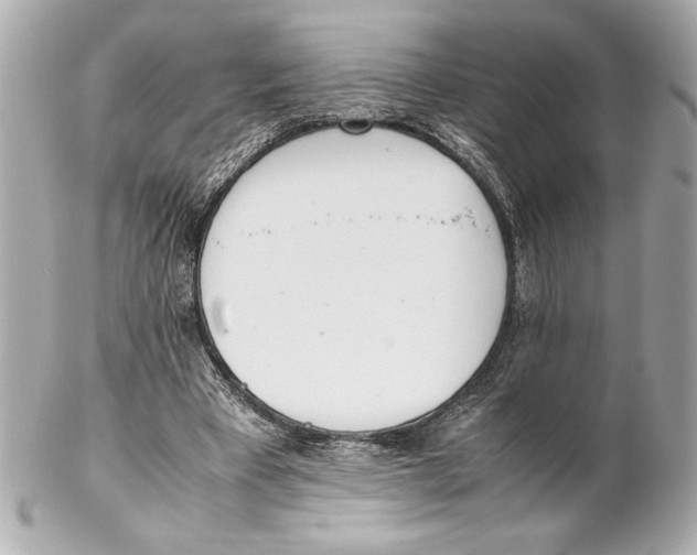 X0000102260393200808151845