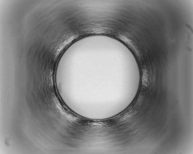 X0000102260394200808151845