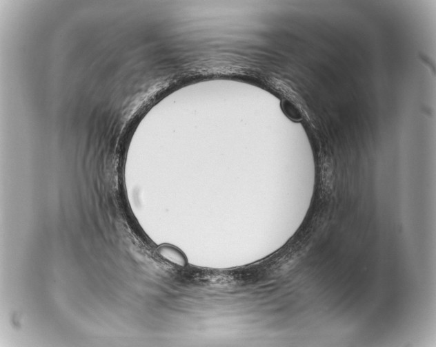 X0000102260395200808151845