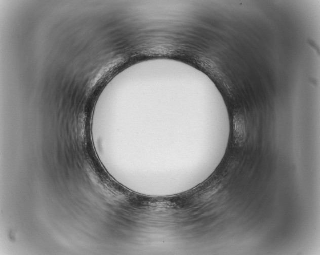 X0000102260396200808151845