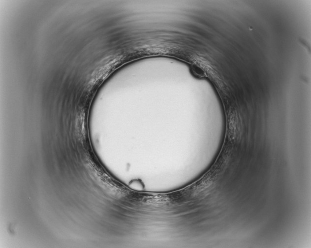 X0000102260398200808151845