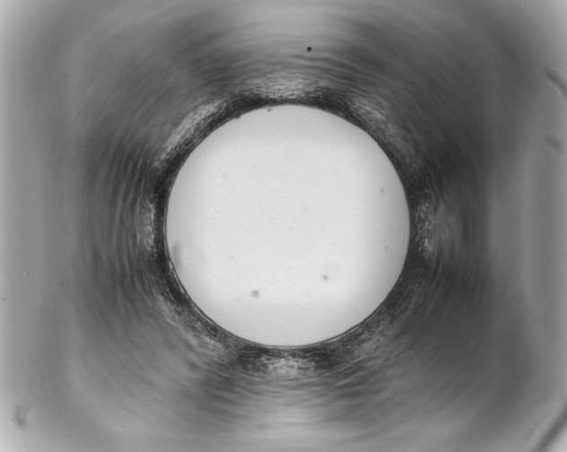 X0000102260400200808151845
