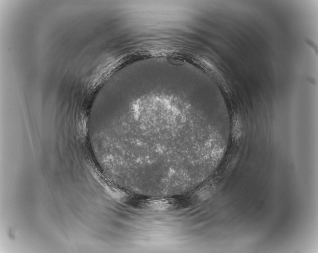 X0000102260405200808151845