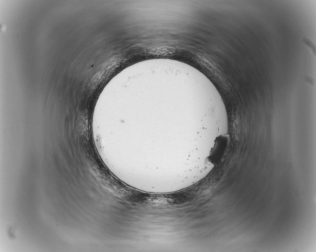X0000102260407200808151845