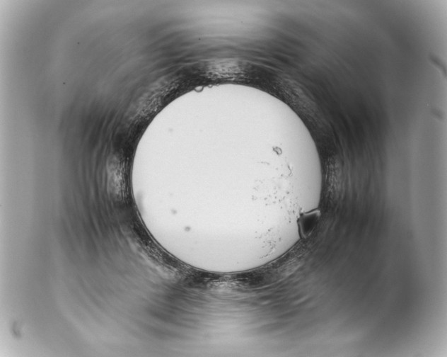 X0000102260408200808151845