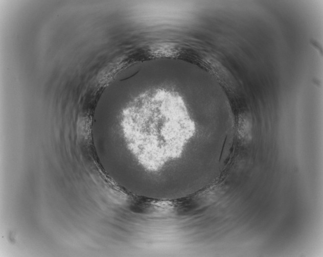 X0000102260409200808151845