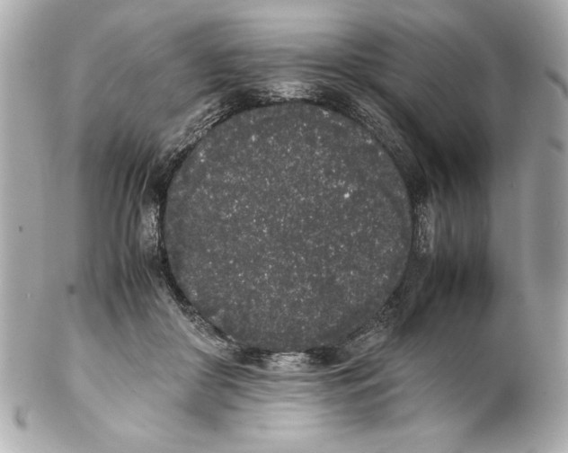 X0000102260410200808151845