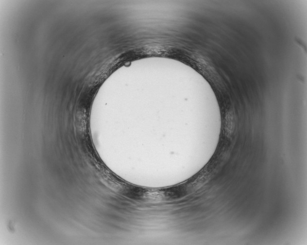 X0000102260413200808151845