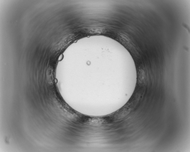 X0000102260414200808151845