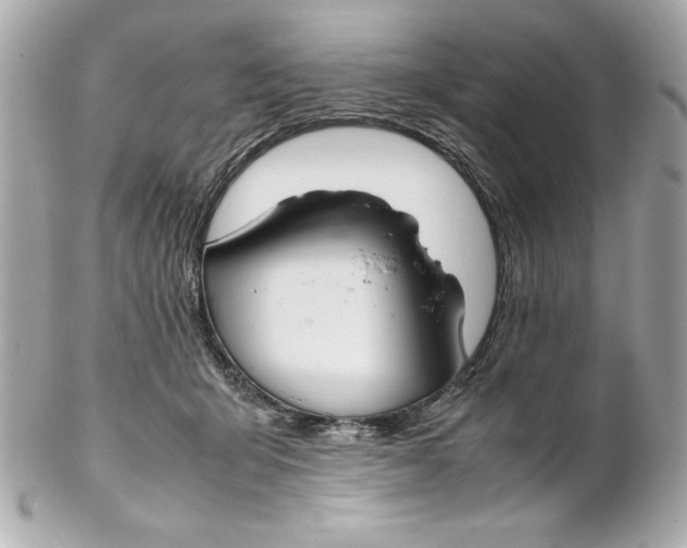 X0000102260415200808151845