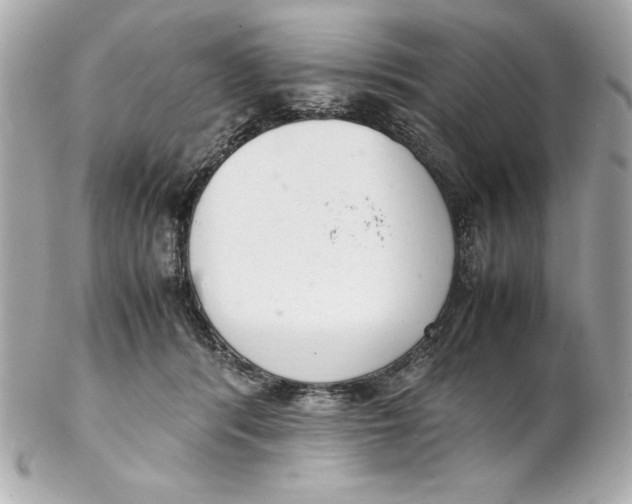 X0000102260416200808151845