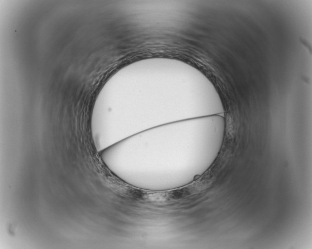 X0000102260417200808151845