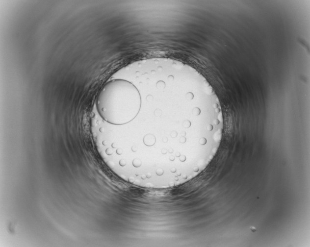 X0000102260418200808151845