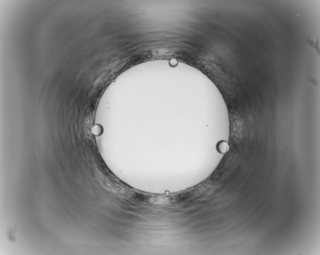 X0000102260419200808151845