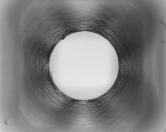 X0000102260420200808151845