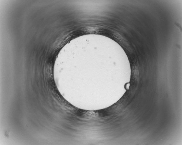 X0000102260421200808151845