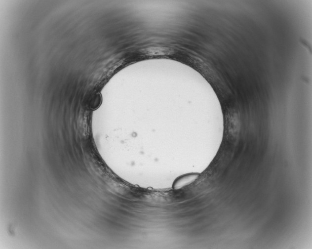 X0000102260422200808151845