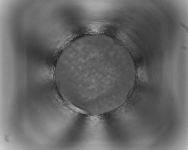 X0000102260423200808151845