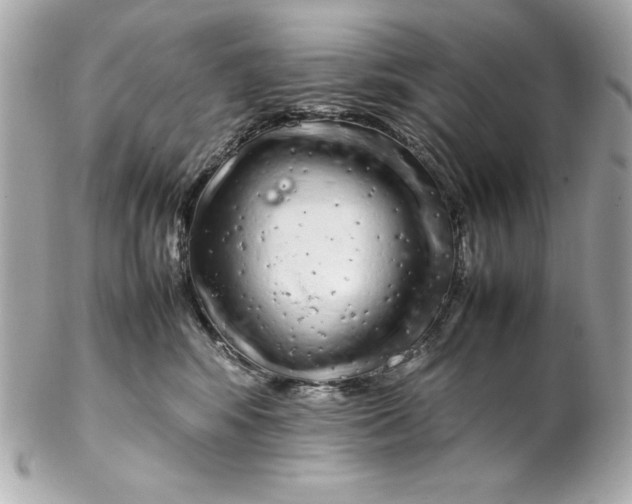 X0000102260424200808151845