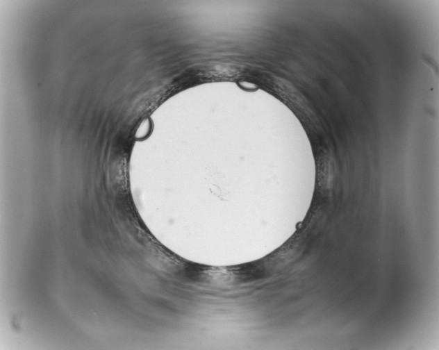 X0000102260425200808151845