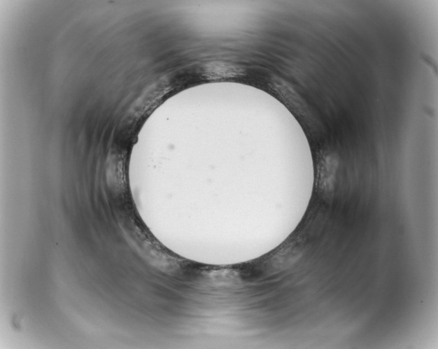 X0000102260426200808151845