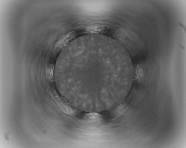 X0000102260427200808151845