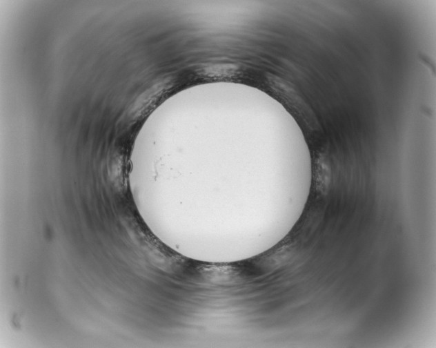 X0000102260428200808151845