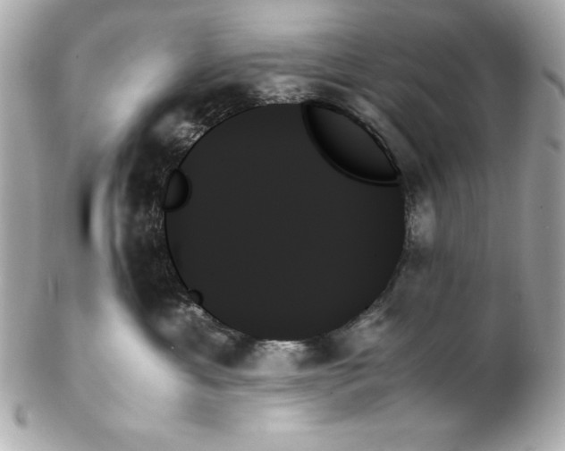 X0000102260429200808151845