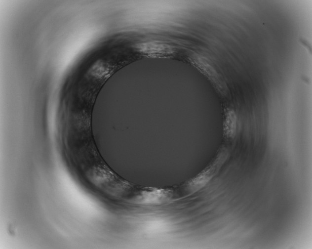 X0000102260430200808151845