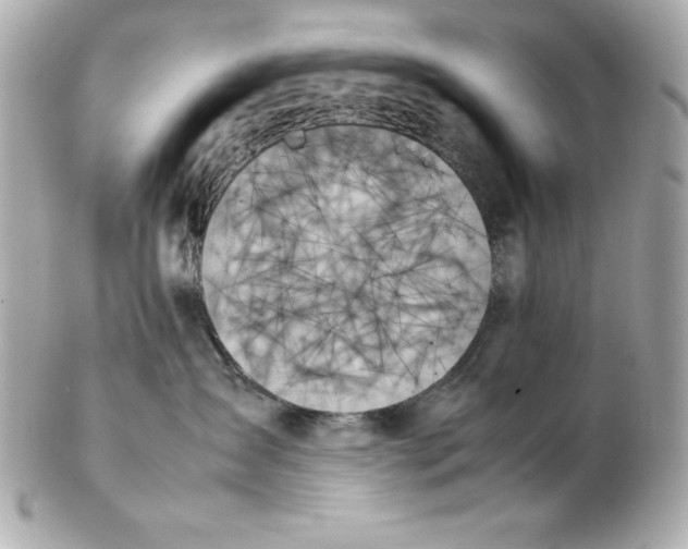 X0000102260431200808151845