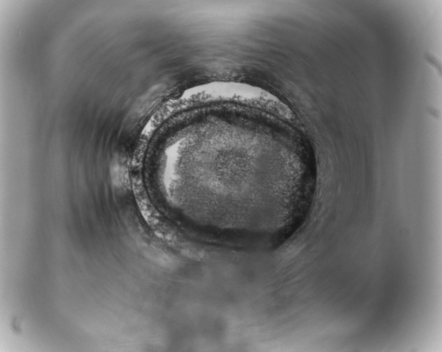 X0000102260432200808151845