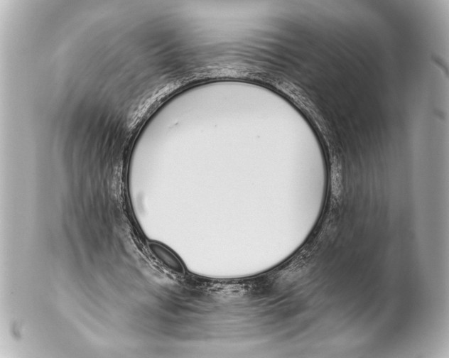 X0000102260434200808151844