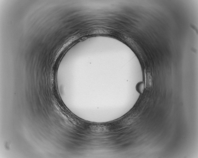 X0000102260435200808151844
