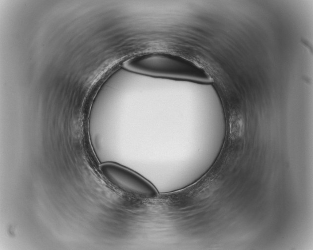X0000102260436200808151844