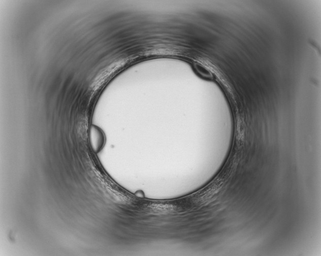 X0000102260437200808151844