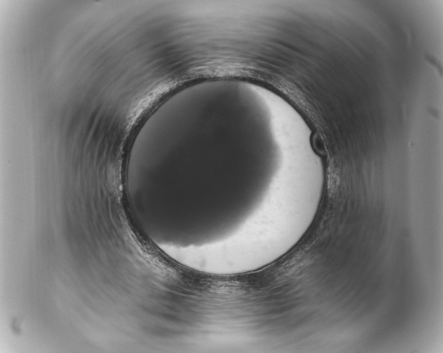 X0000102260438200808151844