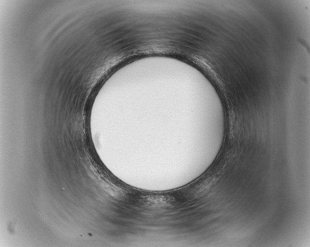 X0000102260439200808151844