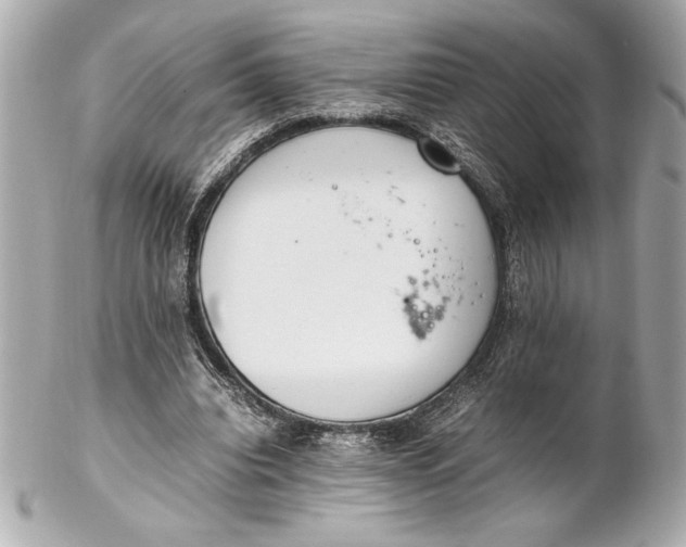X0000102260440200808151844