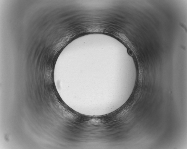 X0000102260441200808151844