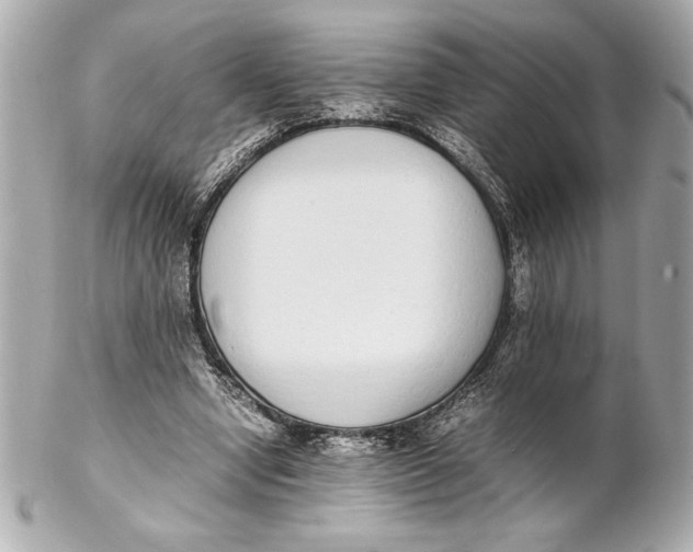 X0000102260442200808151844