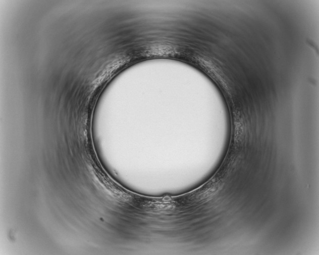 X0000102260443200808151844