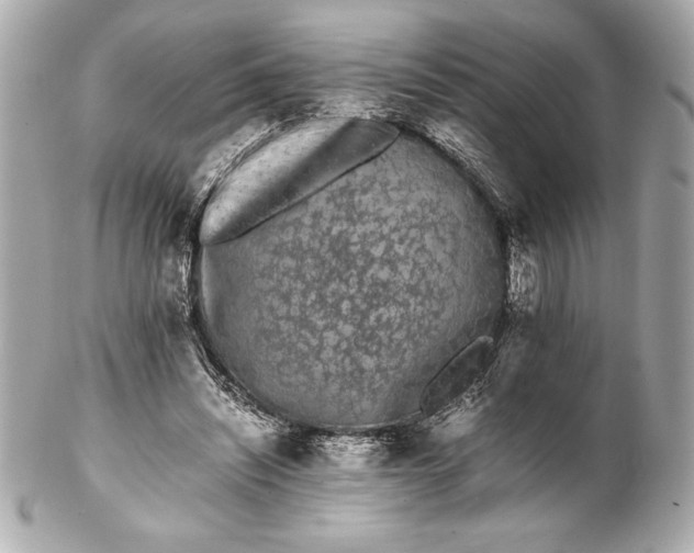 X0000102260444200808151844